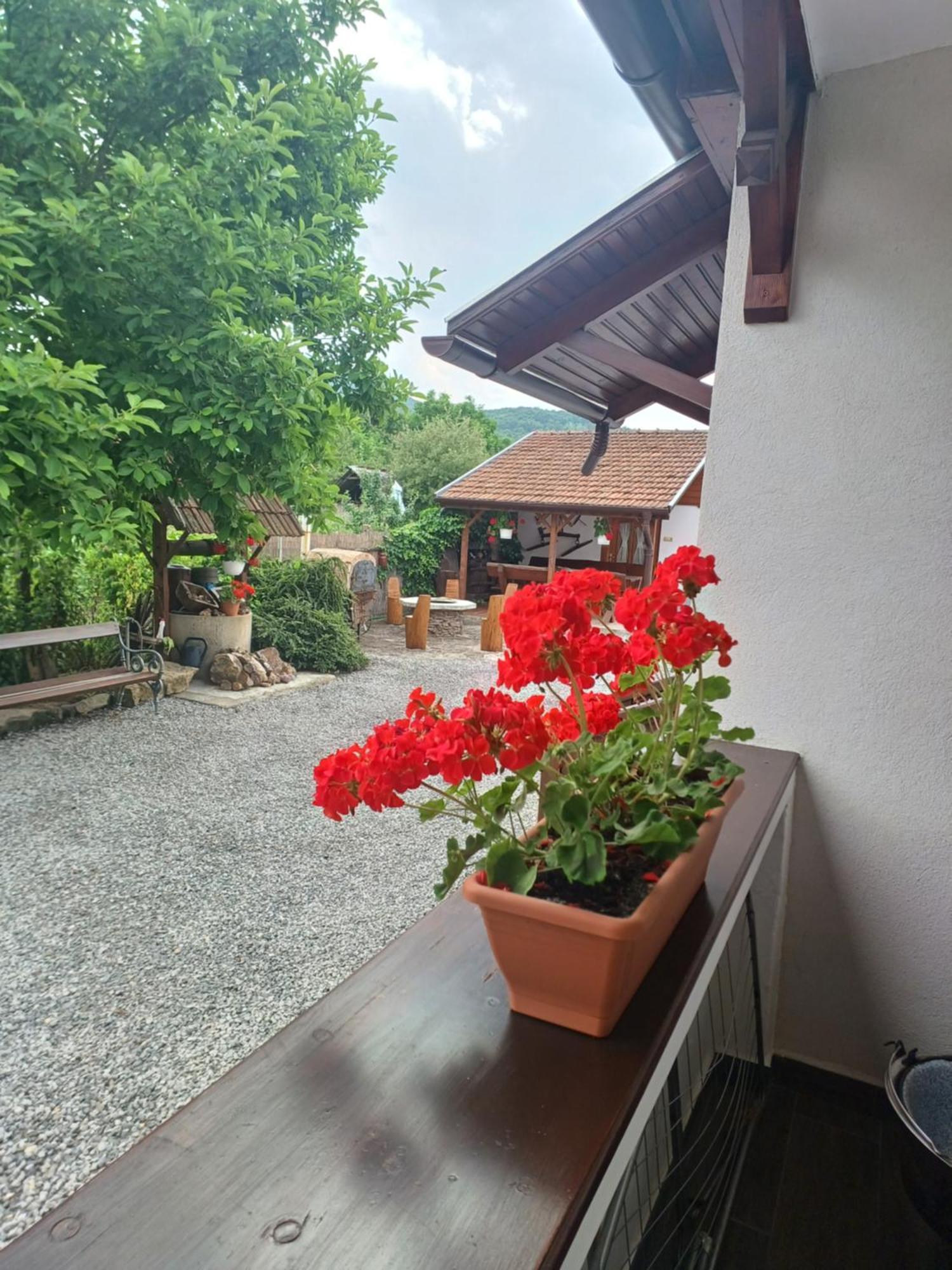 Kazsimer Vendeghaz Erdohorvati Exterior photo